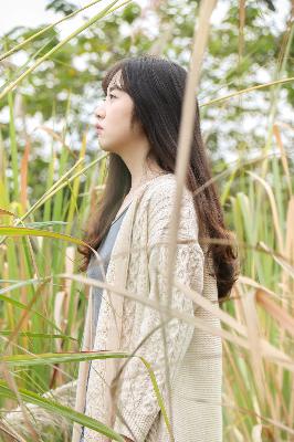 免费网站观看WWW在线观