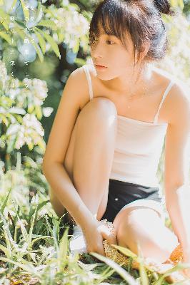 与凤行免费观看完整版电视剧